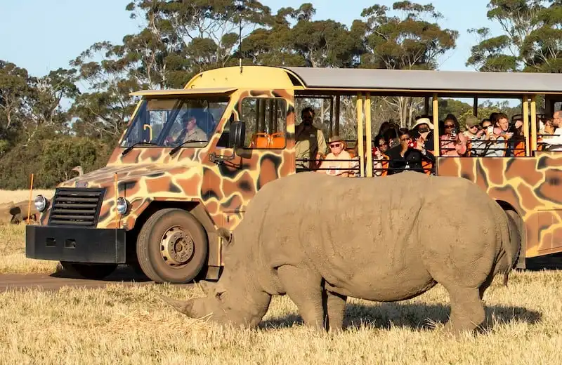 Werribee Zoo & Werribee Mansion Tour