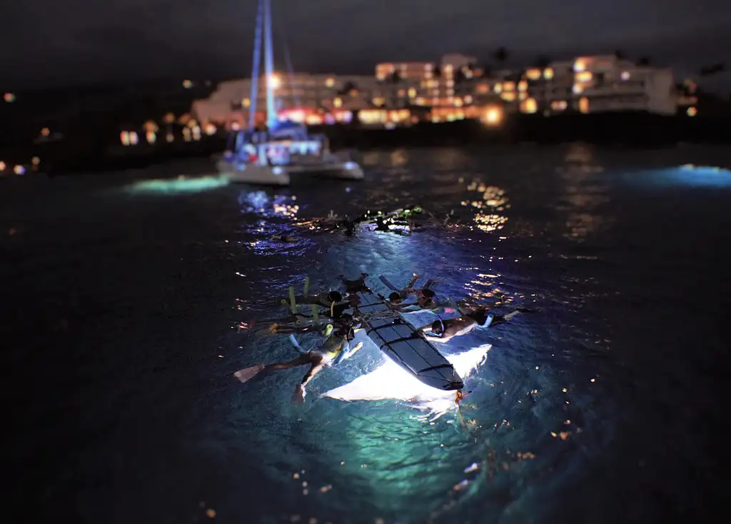 Late Night Manta Ray Snorkel | From Kona