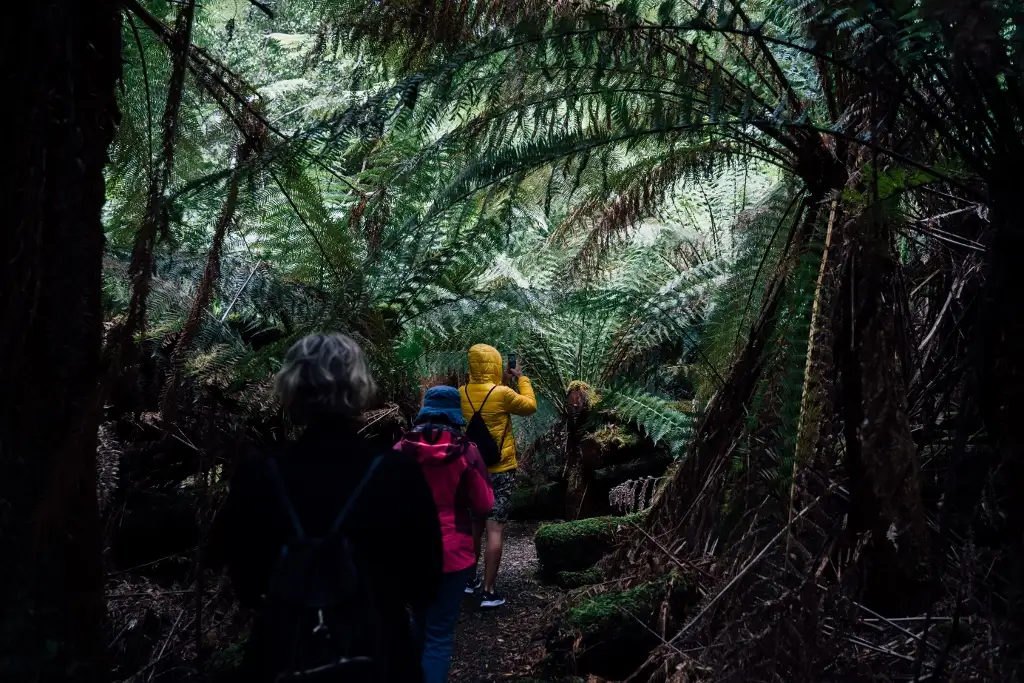 Bruny Island Day Tour | From Hobart