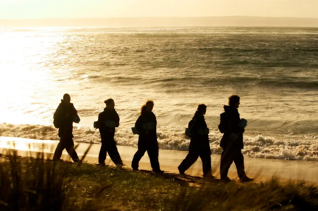 Phillip Island Penguin Parade Day Tour