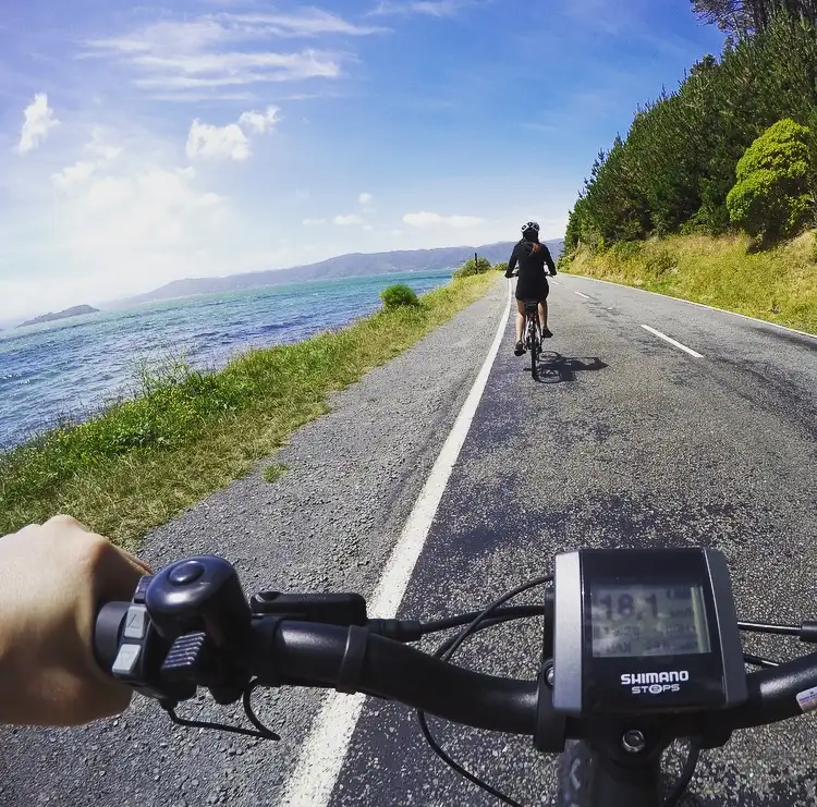 Half Day Wellington & Surrounds E-bike Tour