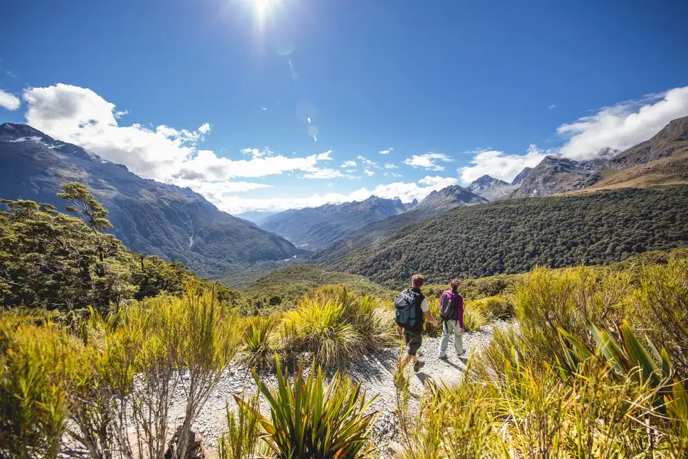 Milford Sound Coach & Cruise Tour from Queenstown