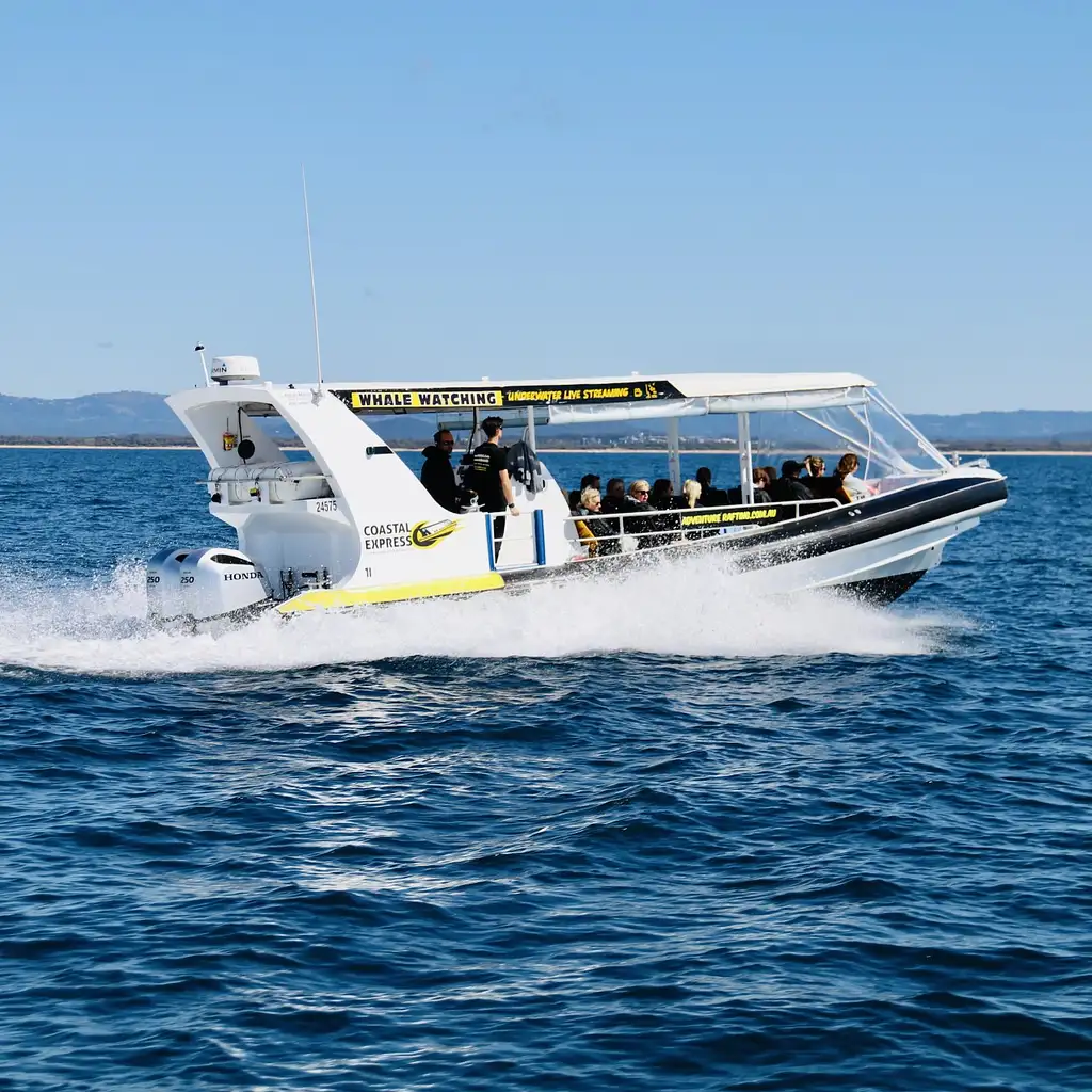 Mooloolaba Whale Watching 2 Hour Experience - Small Group