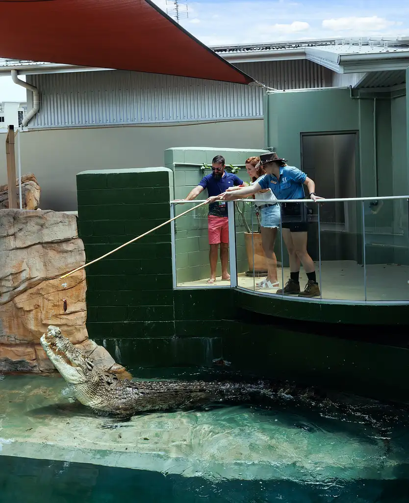 Crocosaurus Cove Entry And Big Croc Feed Experience