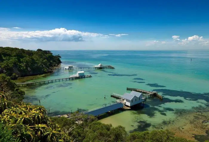 Port Phillip Bay Wildlife Adventure Cruise