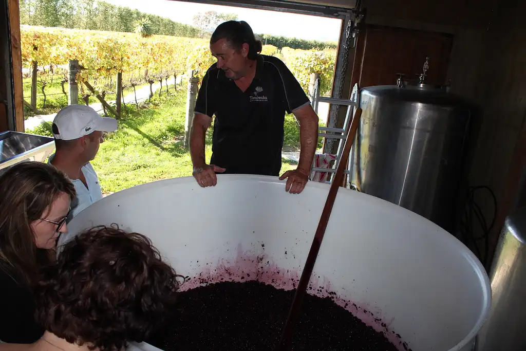 Wairarapa Wine Tasting & Martinborough Day Tour