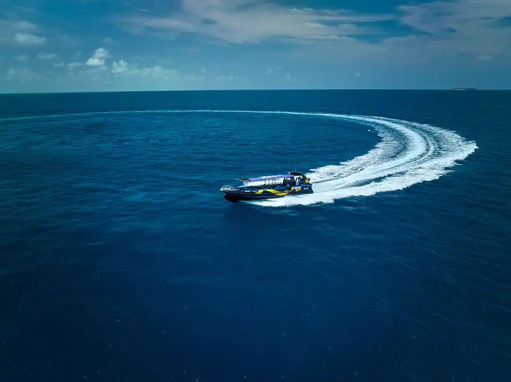 Half-day Great Barrier Reef Snorkelling Tour | From Cairns