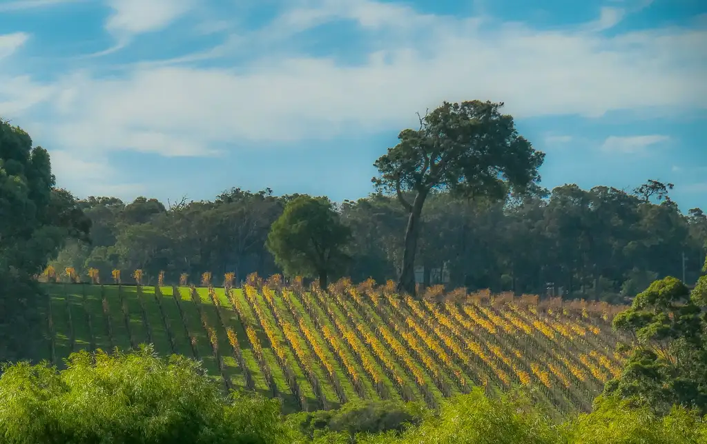 Margaret River Wine Adventure - The tour for people who don't do tours!