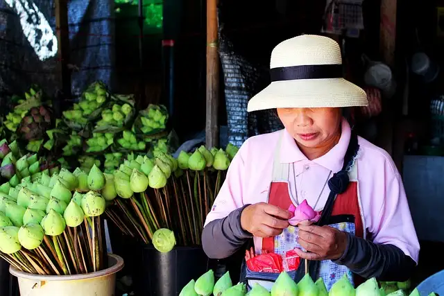 9 Day Bangkok to Hanoi: Chiang Mai, Night Markets & Streetside Bars | G Adventures 18 to 35's