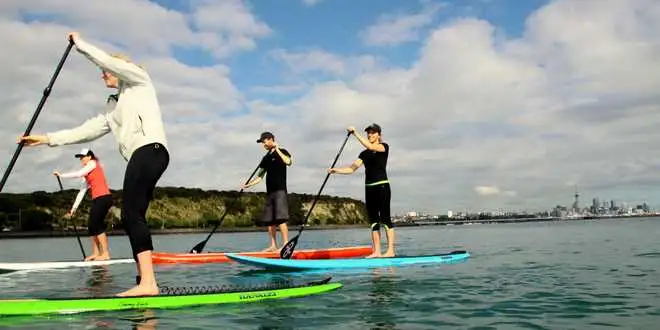 One Hour Stand Up Paddle Board Rental