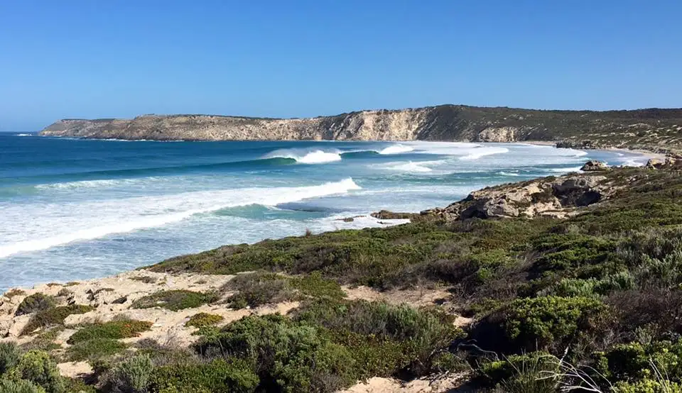 Kangaroo Island Hop On Hop Off Wine Tour