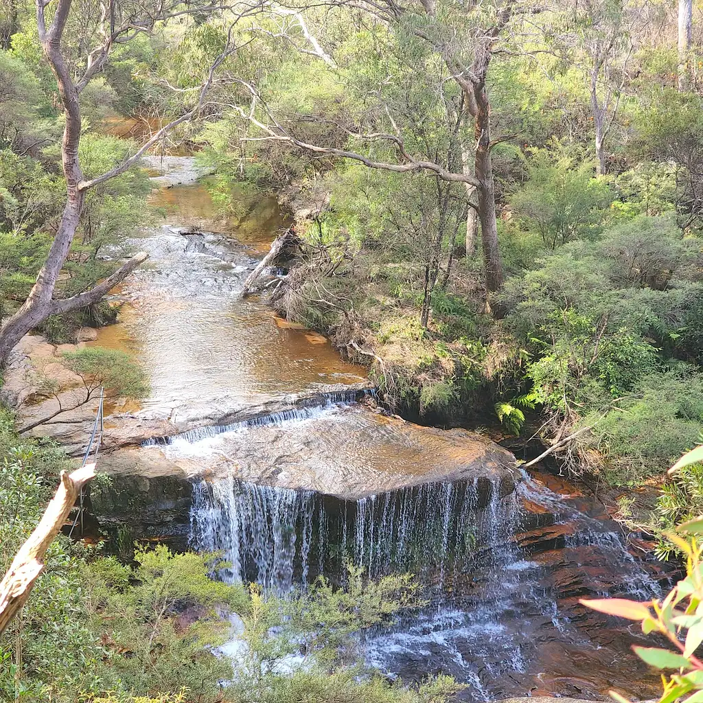 Blue Mountains Full Day Adventure ex Sydney