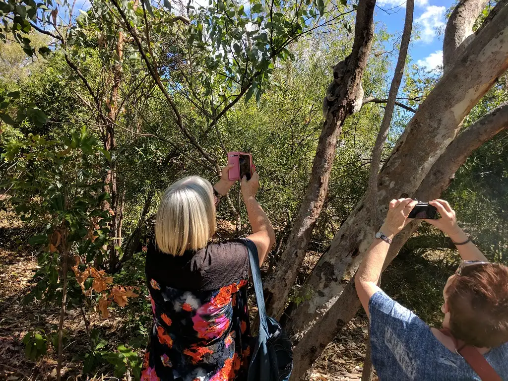 Full Day Magnetic Island Tour | Best Maggie Island Tours