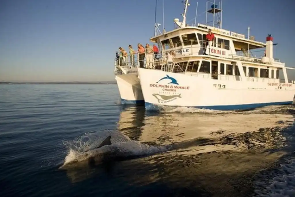 Jervis Bay with Dolphin Cruise | Day Tour from Sydney