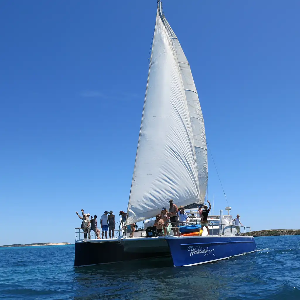 Ningaloo Humpback Whale Swim & Catamaran Sail | Departing Exmouth