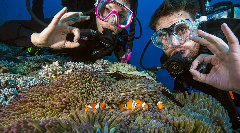 Cairns 5 Day PADI Learn To Dive Course + 2 Night Liveaboard Experience | Great Barrier Reef