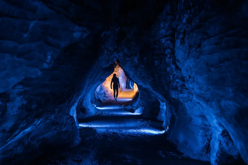 Ruakuri Glowworm Cave Tour