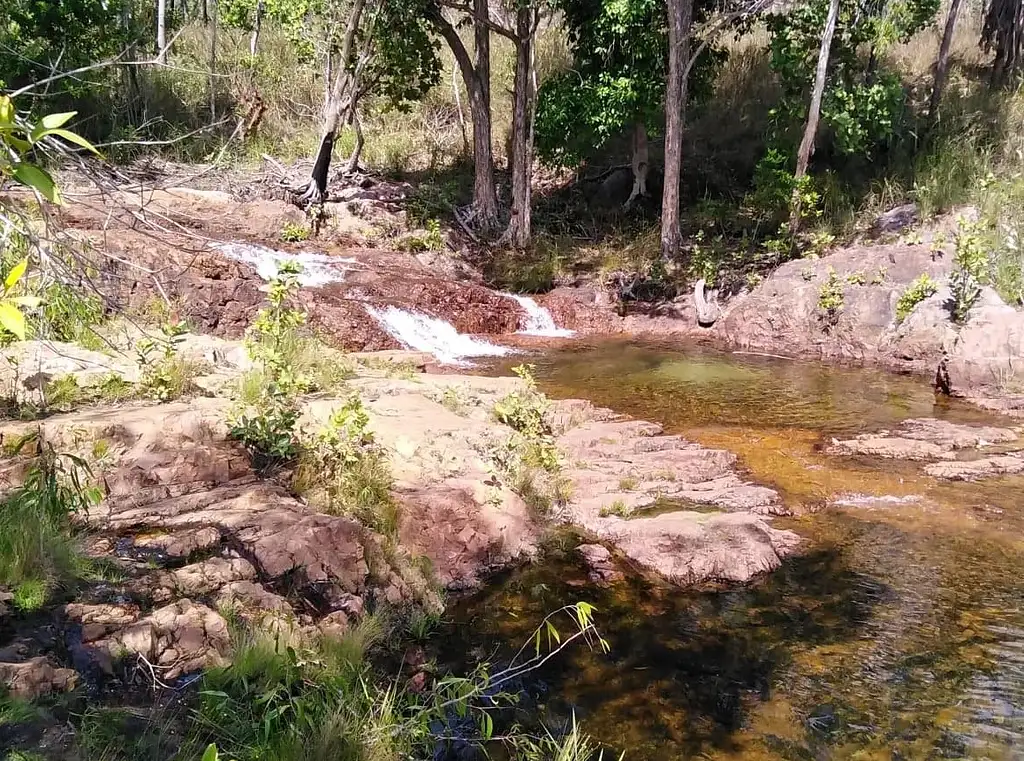 One Day Litchfield Park Adventure & Berry Springs