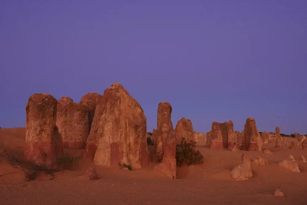 Pinnacles Sunset, Stargazing & Wildlife Full Day Tour