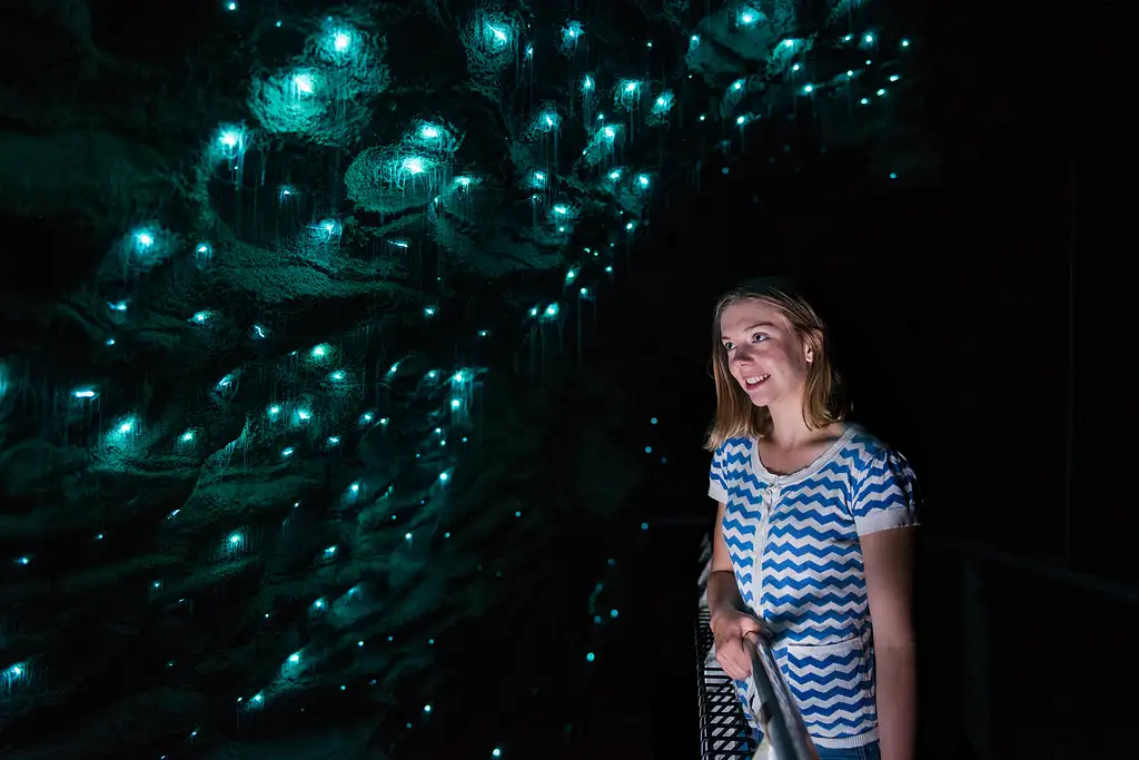 Ruakuri Glowworm Cave Tour