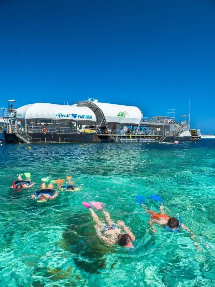 Great Barrier Reef Full Day Experience