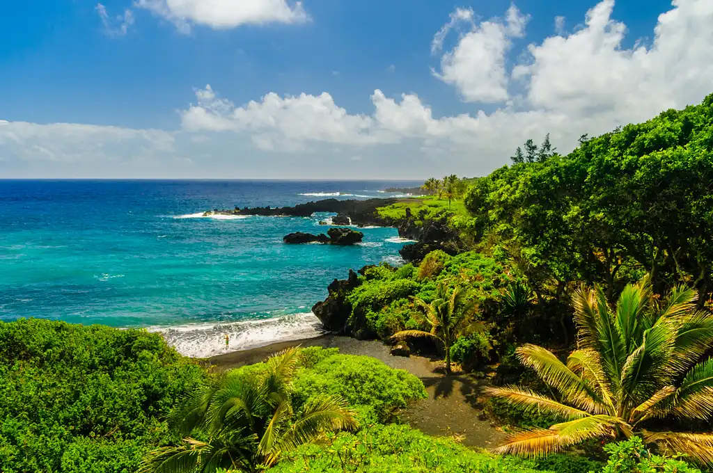 Road to Hana Adventure Tour with Lunch - From Maui