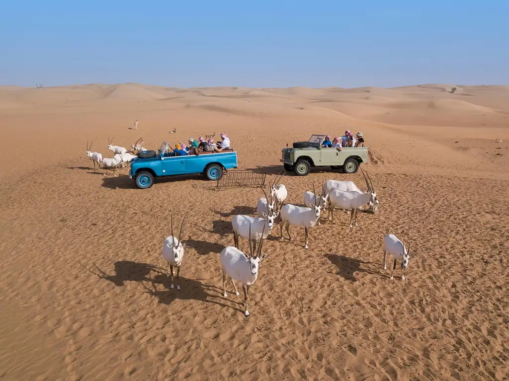 Bedouin Culture Safari From Dubai