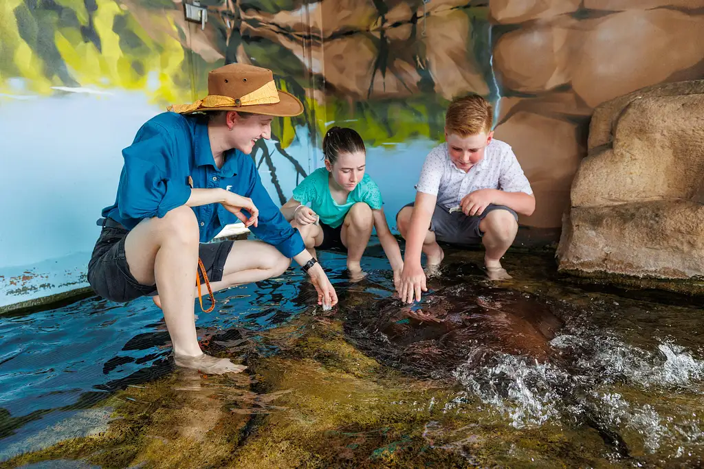 Whipray Encounter At Crocosaurus Cove