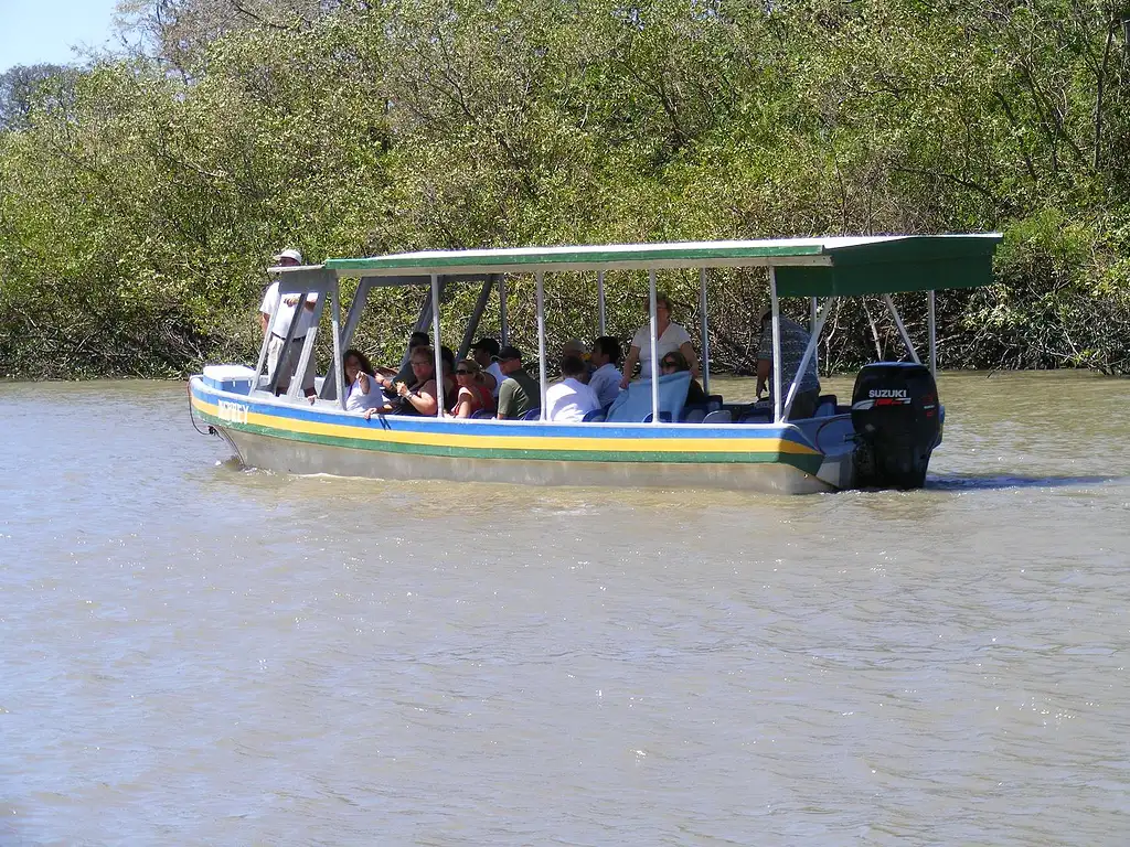 Jungle River Cruise at Palo Verde National Park