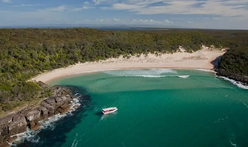 Jervis Bay Dolphin Watching - Day Trip From Sydney