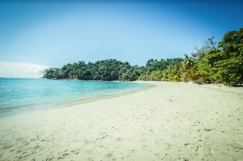 Manuel Antonio Park Tour