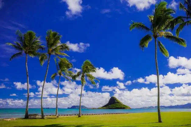 Hidden Gems of Oahu Tour