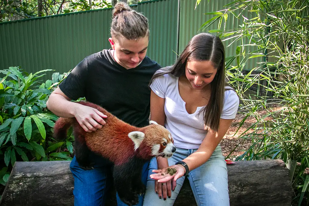 Currumbin Wildlife Sanctuary Shuttle Service - Transport only