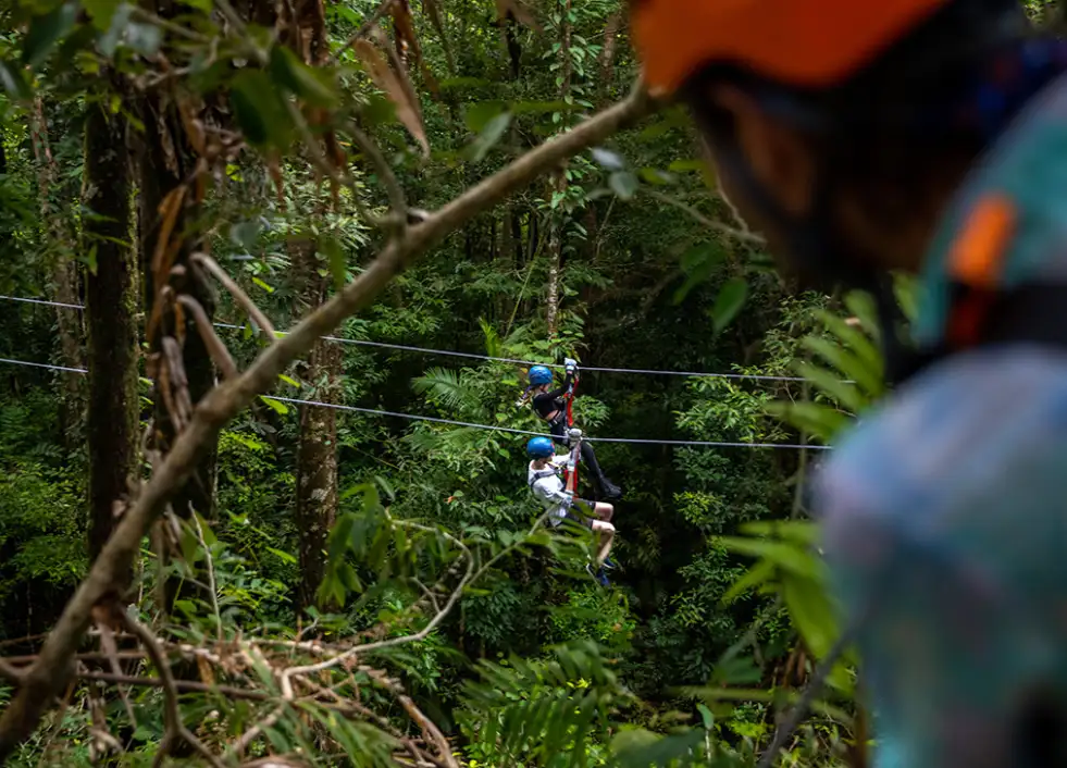 Zipline Tour Cape Tribulation