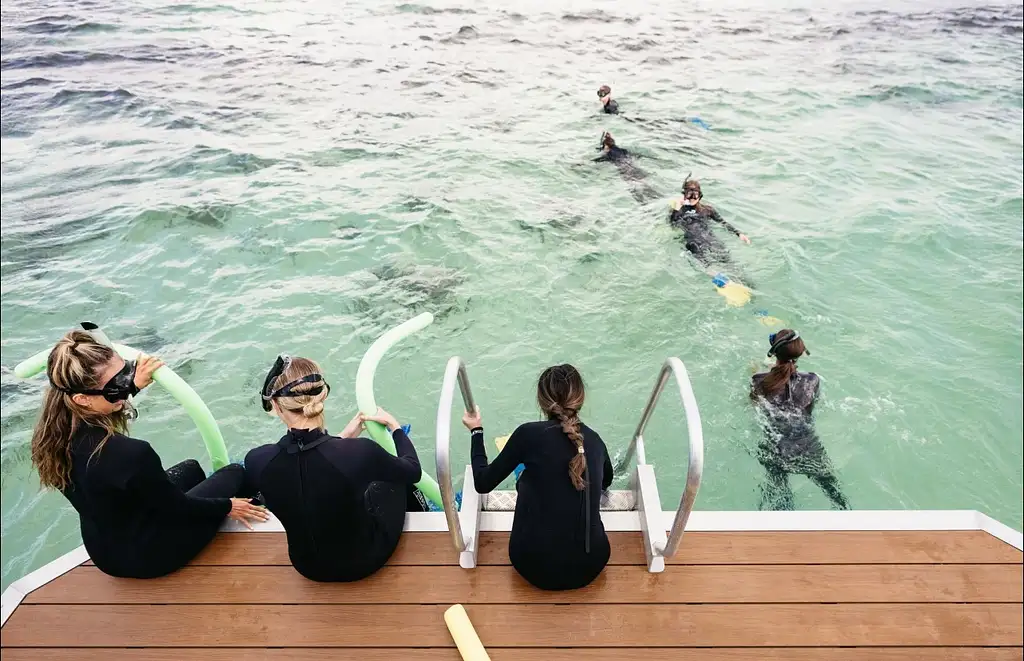 Swim with Sea Lions