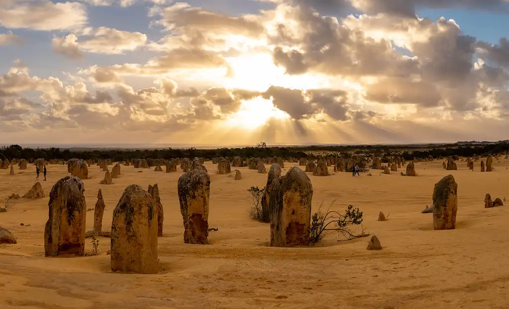 Pinnacles Sunset, Stargazing & Wildlife Full Day Tour