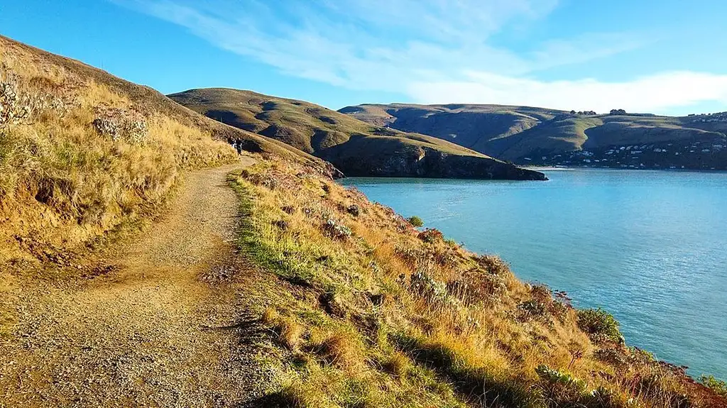 Godley Head Guided Walking Tour