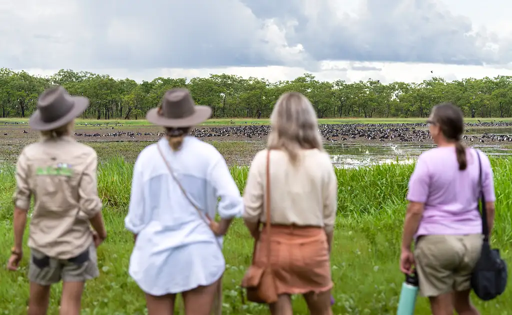 Jumping Crocodile Tour from Darwin - TNT24OCTSALE