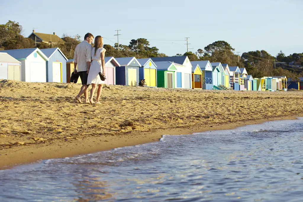 Mornington Peninsula and Penguin Parade - Day Tour