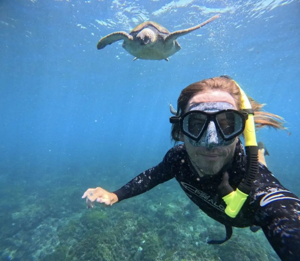 Swim with Turtles Gold Coast | Gold Coast Snorkel