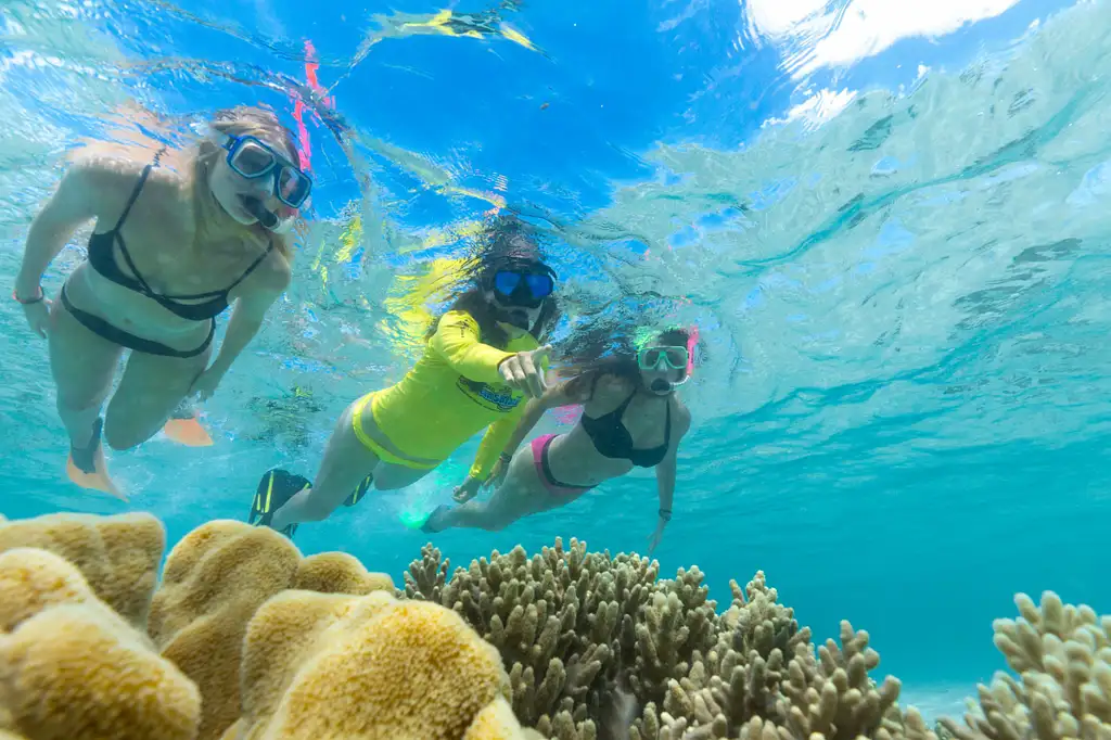 Ocean Safari Great Barrier Reef Adventure