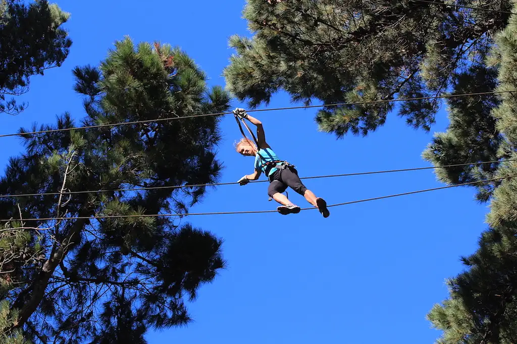 Adrenalin Forest Aerial Obstacle Course