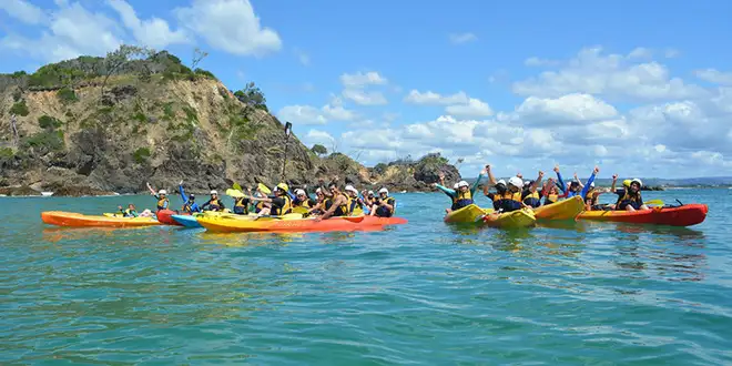 Byron Bay Dolphin Sea Kayak Tour