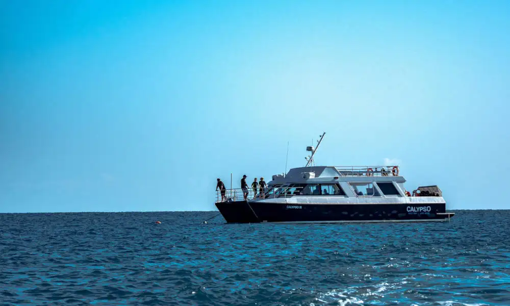 Low Isles Cruise And Snorkel Tour