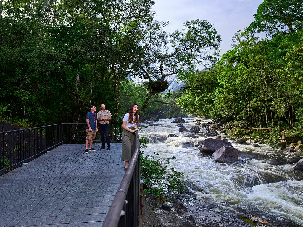 Daintree Dreaming - Traditional Aboriginal Fishing