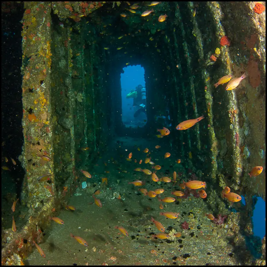 Ex-HMAS Brisbane Double Dive