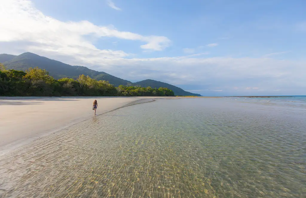 Full Day Cape Tribulation and Daintree Wildlife Tour