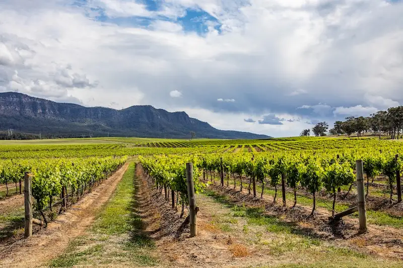 Hunter Valley Wine & Dine Day Tour