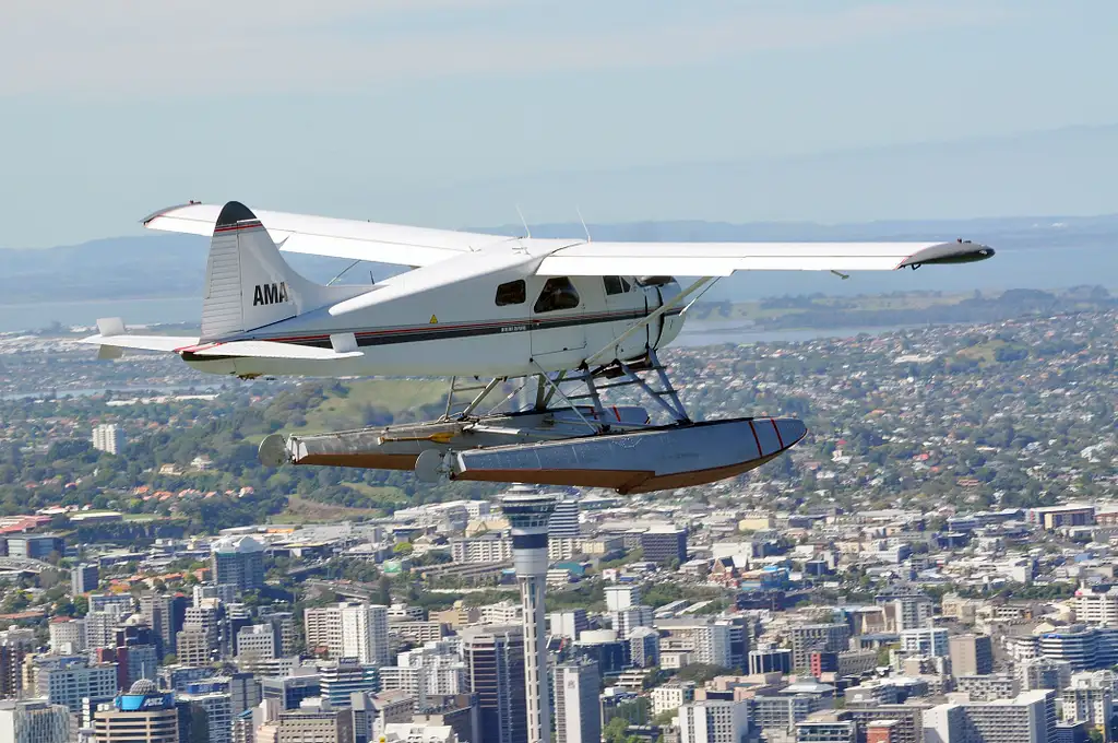 Great Barrier Island Flight Transfer From Auckland