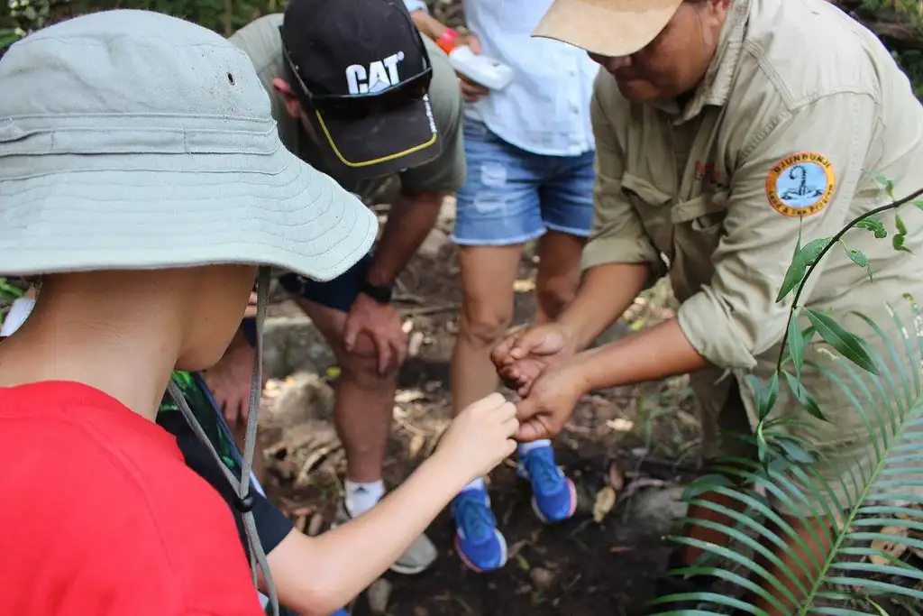 Hands on Country Eco Indigenous Tour - Cairns